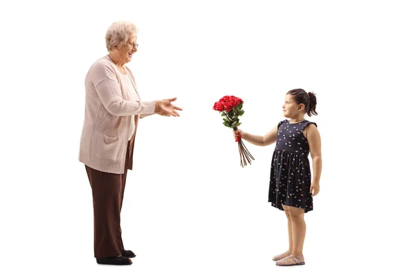 Ragazzina che dà un mazzo di rose rosse a una nonna — Foto Stock