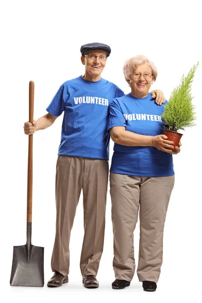 Homem idoso e mulher voluntários com uma árvore para plantio — Fotografia de Stock