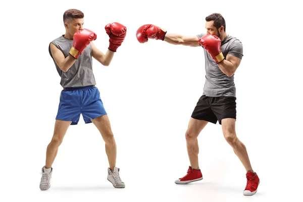 Двоє молодих чоловіків борються з боксерськими рукавичками — стокове фото