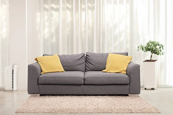 带有灰色沙发 植物和窗帘的客厅室内设计 — 图库照片