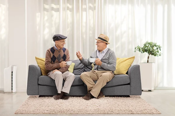 Dos Ancianos Sentados Sofá Casa Tomando Conversando — Foto de Stock