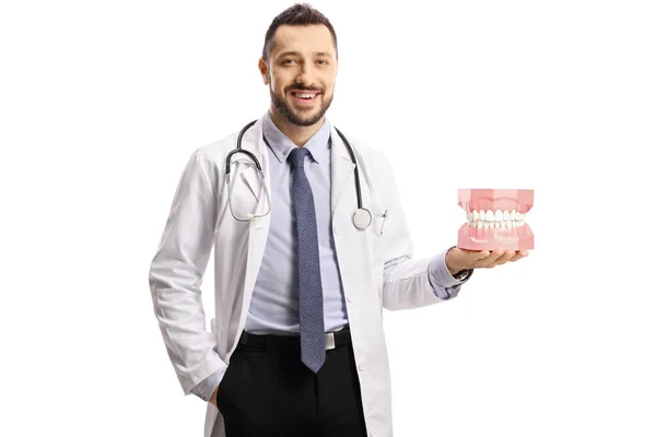 Médico Dentista Masculino Segurando Grande Modelo Mandíbula Sua Mão Isolado — Fotografia de Stock