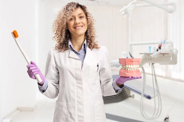 Dentista Feminina Segurando Uma Escova Dentes Grande Uma Mandíbula Modelo — Fotografia de Stock