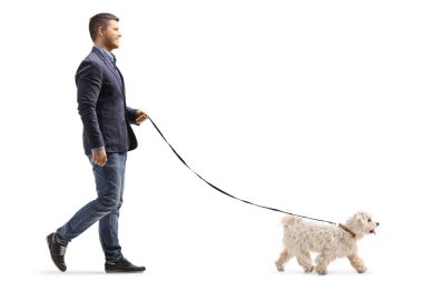 Beyaz arka planda soyutlanmış bir kaniş köpeğini gezdiren bir adamın tam boy profil fotoğrafı.