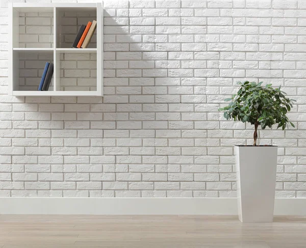 Beyaz Tuğlalı Bir Duvarı Bir Bitkisi Kitaplarla Dolu Rafları Olan — Stok fotoğraf