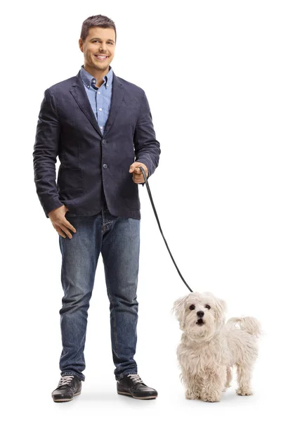 Full Length Portrait Young Man Maltese Poodle Dog Lead Isolated — Stock Photo, Image