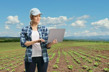 Genç ayçiçeği bitkileriyle dolu bir tarlada dizüstü bilgisayarı olan bir kadın çiftçi. 