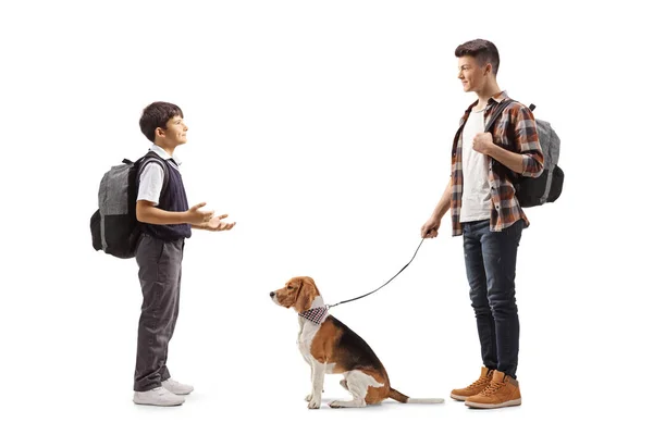 Foto Completa Colegial Hablando Con Estudiante Masculino Con Perro Beagle — Foto de Stock