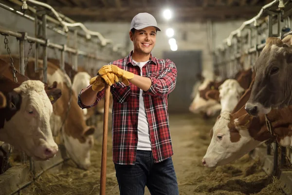 Jovem Trabalhador Sexo Masculino Posando Uma Fazenda Vacas Dentro Estábulo — Fotografia de Stock