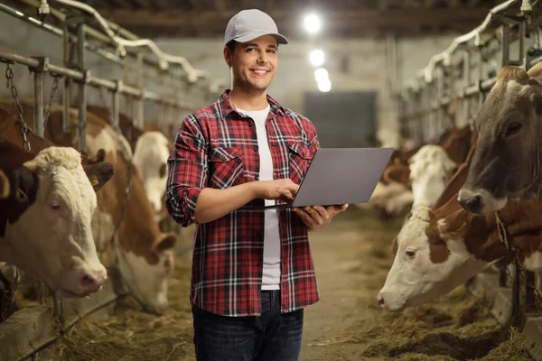 Young Male Farmer Shirt Holding Laptop Computer Looking Camera Cowshed — Stock Photo, Image