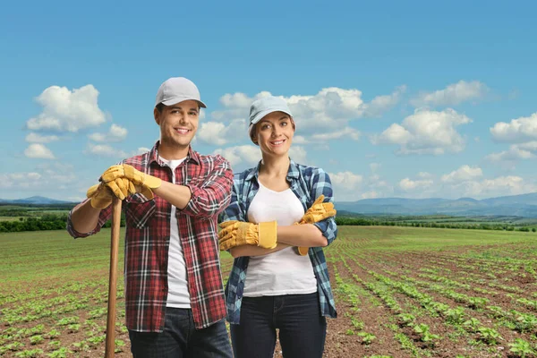 Young Male Female Farmer Standing Field Young Sunflower Plants — Stock Photo, Image