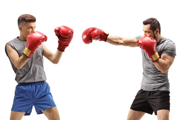 Junge Männer Kämpfen Mit Boxhandschuhen Isoliert Auf Weißem Hintergrund — Stockfoto