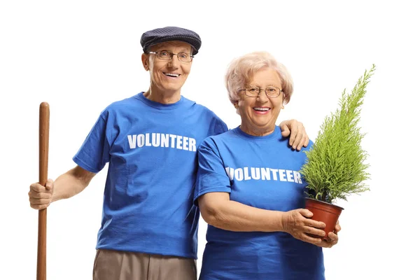 Voluntarios Mayores Con Árbol Para Plantar Aislado Sobre Fondo Blanco — Foto de Stock