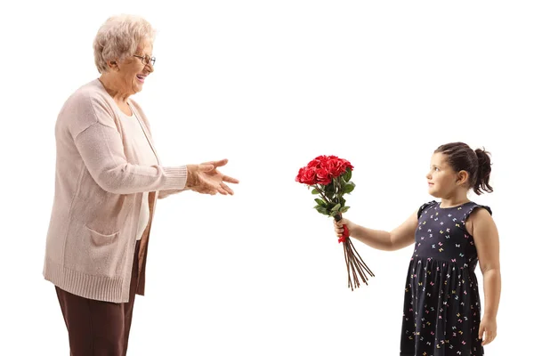 Ragazza Che Mazzo Rose Rosse Una Nonna Isolata Sfondo Bianco — Foto Stock
