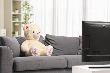 Oyuncak ayı, oturma odasındaki bir televizyonun önündeki koltukta oturuyordu.