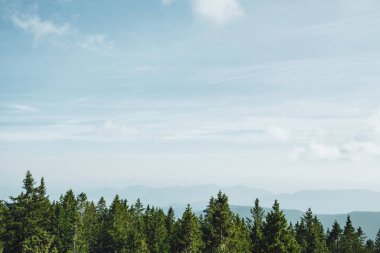Yeşil ladin ormanlarının ve sisli mavi dağların güzel üst manzarası. Pohorje Ağaç Yolu, Rogla. Slovenya, Avrupa.
