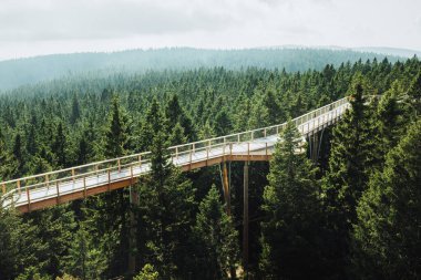 Ağaç tepelerinde yürümek için tahta köprünün ve gözlem güvertesinin havadan görüntüsü. Pohorje Ağaç Yolu, Rogla. Slovenya, Avrupa.