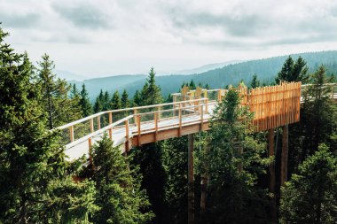 Ağaç tepelerinde yürümek için tahta köprünün ve gözlem güvertesinin havadan görüntüsü. Pohorje Ağaç Yolu, Rogla. Slovenya, Avrupa.
