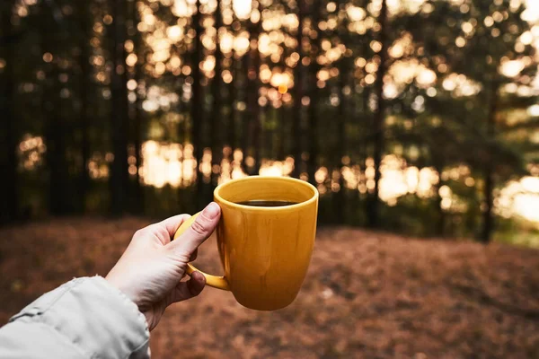 Yellow mug with tea in hand against background of autumn forest at sunset time.