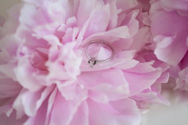 Peonies. Pembe peonies. Buket. Bahar nişan yüzük Wedding Cozy
