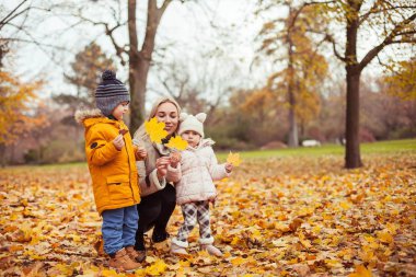 Güzel genç bir anne ve iki küçük çocuk sonbahar park çevresinde yürüyor. Anne ve iki küçük çocuk oyun. Sıcak kış. Parlak sonbahar.
