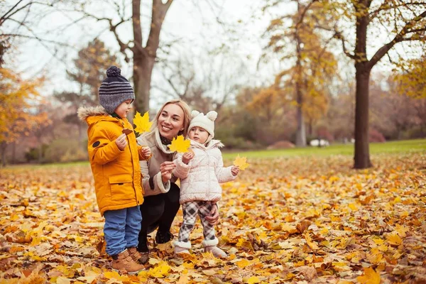 若い美しい母親と小さな子供 2 人は秋の公園を散策します。お母さんと小さな子供 2 人プレイ。暖かい冬。鮮やかな秋. — ストック写真