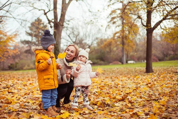 A young beautiful mother and two small children are walking around the autumn park. Mom and two small children play. Warm winter. Bright autumn. — Stock Photo, Image