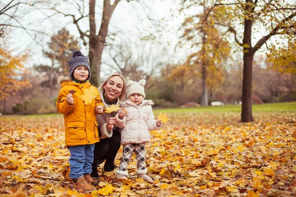 一个年轻漂亮的母亲和两个小孩在秋季公园散步 妈妈和两个小孩玩耍 温暖的冬天 明媚的秋天 — 图库照片