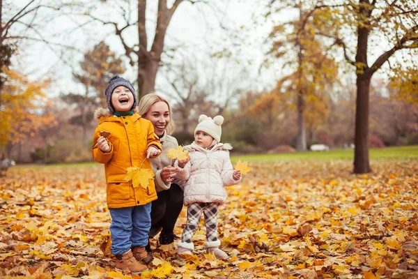 En ung vacker mor och två små barn går runt parken hösten. Mamma och två små barn spela. Varm vinter. Ljusa hösten. — Stockfoto