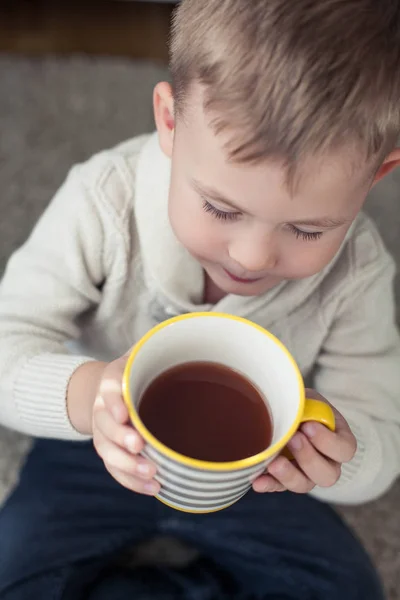 Un acogedor retrato otoñal de un niño agradable. Un niño de 4 años se sienta en una alfombra y bebe cacao. Otoño . —  Fotos de Stock