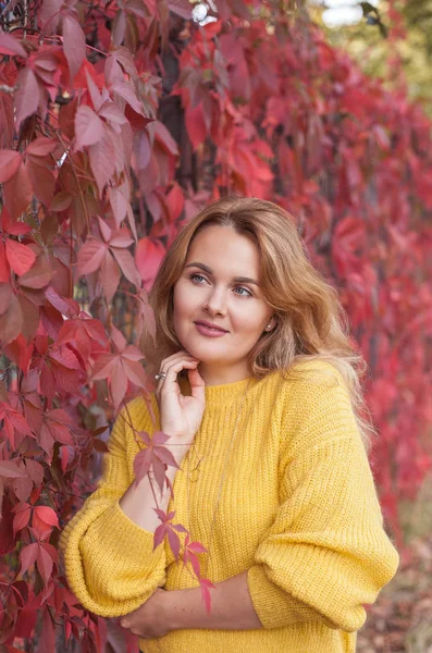 Jeune belle femme dans un pull jaune marche à travers le parc d'automne. Feuilles rouges. Chaleureux, confortable. Portrait d'automne d'une jeune femme aux cheveux roux . — Photo