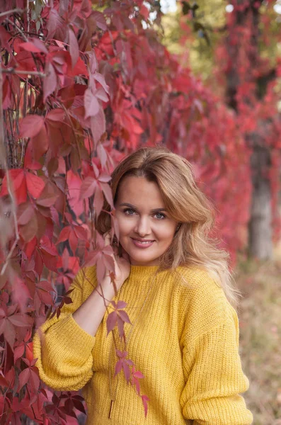 Молода красива жінка в жовтому пуловері проходить через осінній парк. Червоне листя. Теплий, затишний. Осінній портрет молодої жінки з рудим волоссям . — стокове фото