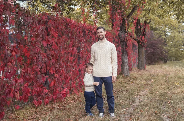 お父さんと mvlenky の息子は、秋の公園を散歩します。明るく、暖かい秋。赤の葉。居心地の良い。お父さんと息子のニット セーターでの肖像画. — ストック写真