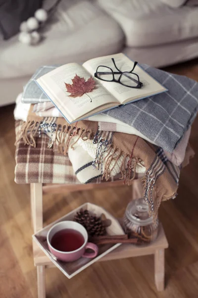 Plaids Una Taza Caliente Otoño Acogedor Interior Una Silla Madera —  Fotos de Stock