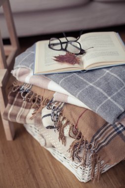 İskoç şalılar. Bir fincan çay. Sonbahar rahat iç. Bir tahta sandalyede bir yığın sıcak battaniye var. Mumlar, yaprakları, koniler, sepet, tarçın. Kitap ve gözlük. Sonbahar.