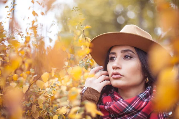 Porträt Einer Schönen Jungen Türkin Gelben Bäumen Warmer Herbst Glücklich — Stockfoto