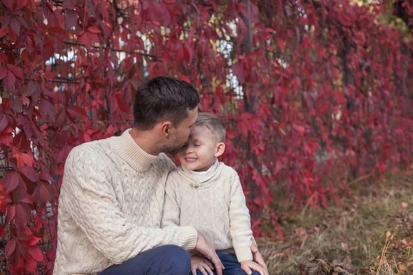 お父さんと息子の小さな秋の公園の中を歩きます。明るく、暖かい秋。赤の葉。居心地の良い。お父さんと息子のニット セーターでの肖像画. — ストック写真