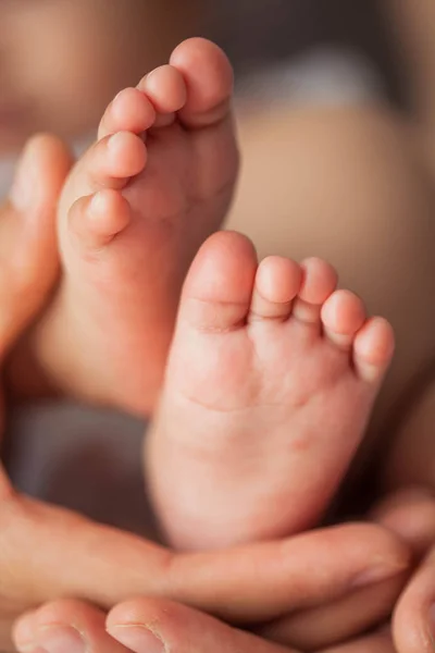 Zbliżenie Nogi Noworodka Stopy Dziecka Rękach Matki Dziecko Cozy Rodzina — Zdjęcie stockowe