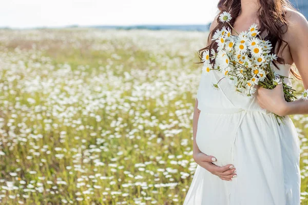 Όμορφη Νεαρή Έγκυος Γυναίκα Ένα Πεδίο Των Μαργαριτών Μητρότητα — Φωτογραφία Αρχείου
