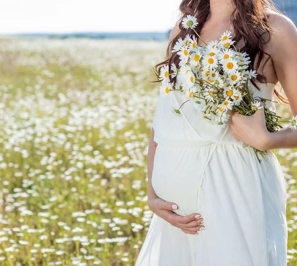 美しい若い妊婦がヒナギクのフィールド — ストック写真