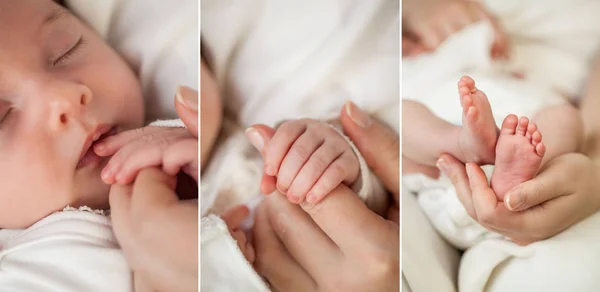 Collage. Baby. Close-up. De benen en handvatten van de baby in de handen van haar moeder. Moederschap. — Stockfoto