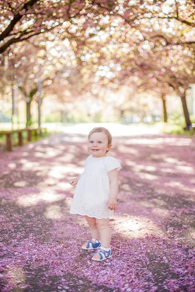 Baby girl in a white dress runs in the park with pink blossoms. Spring. — Stock Photo, Image