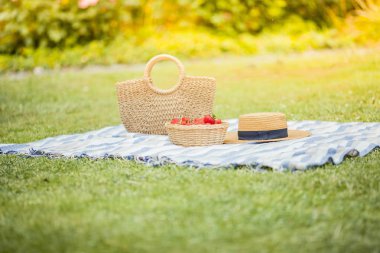 Bir dokuma çanta, şapka, ekose, çilek çim üzerinde bir sepet standı. Piknik.