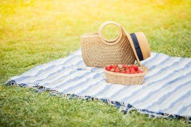 Bir dokuma çanta, şapka, ekose, çilek çim üzerinde bir sepet standı. Piknik.