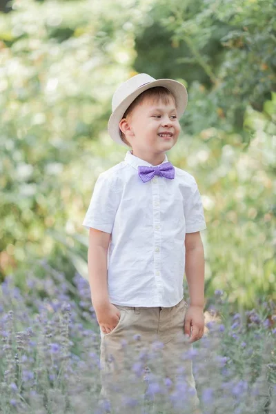 Malý chlapec o pěti letech chodí v květním parku. Levandule. Jaro. Portrét chlapce v klobouku s motýlek. — Stock fotografie