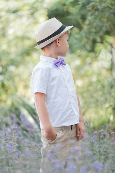 A little boy of 5 years old walks in a flowered park. Lavender. Spring. Portrait of a boy in a hat with a bow tie. — Stock Photo, Image