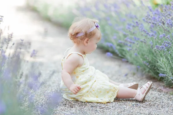 Niña de ojos azules sentada cerca de la floreciente lavanda. Cálido verano. Primavera . —  Fotos de Stock