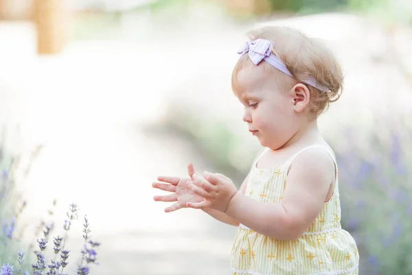 Niña de ojos azules sentada cerca de la floreciente lavanda. Cálido verano. Primavera . —  Fotos de Stock