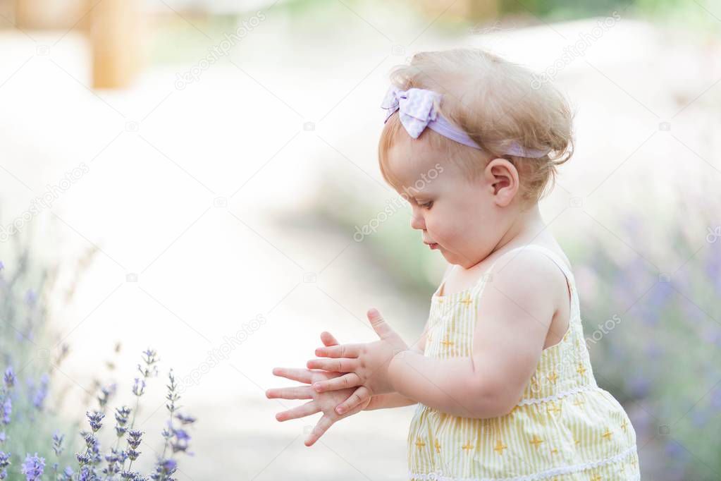 Little blue-eyed girl sitting near the blooming lavender. Warm summer. Spring.