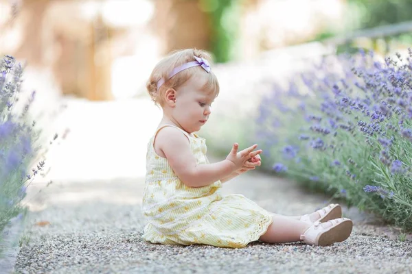 Niña de ojos azules sentada cerca de la floreciente lavanda. Cálido verano. Primavera . —  Fotos de Stock